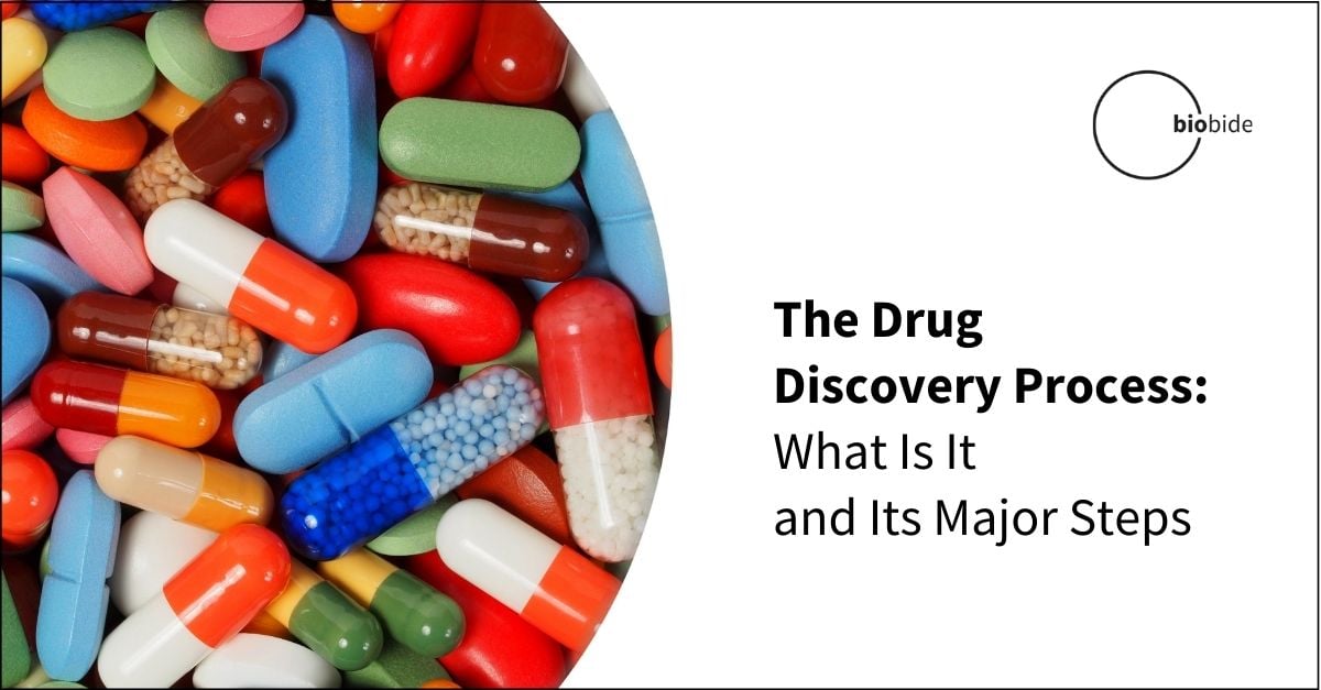 The Drug Discovery Process What Is It And Its Major Steps